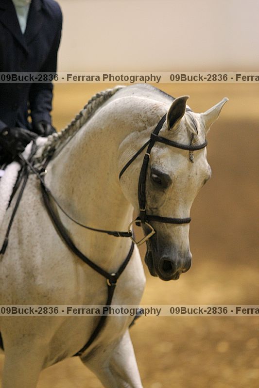Proof 09buck-2836