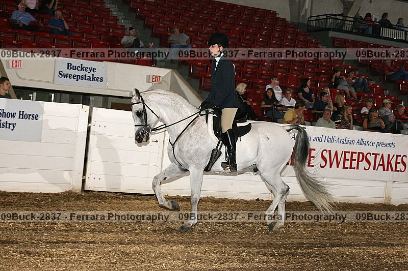 Proof 09buck-2837