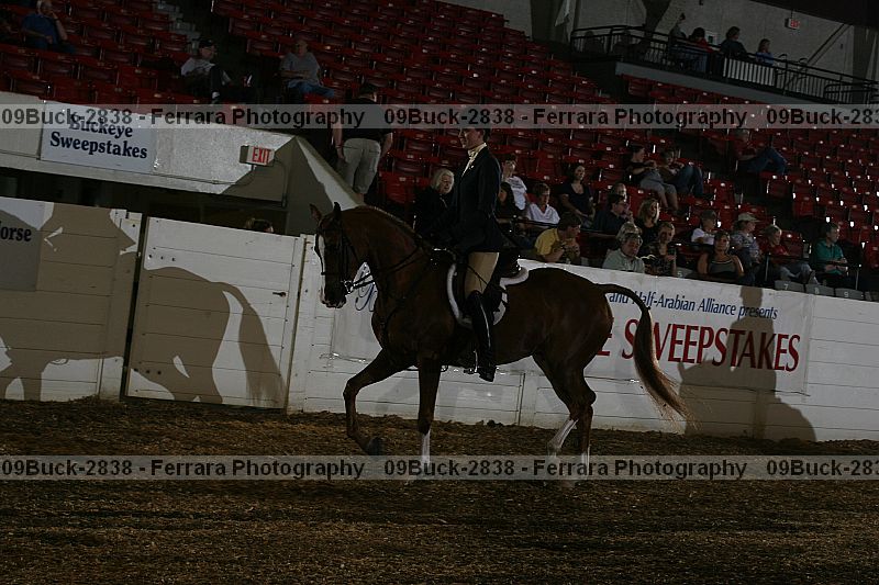 Proof 09buck-2838