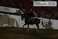 09buck-2838 proof
