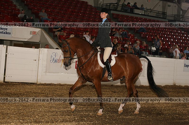 Proof 09buck-2842