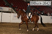 09buck-2842 proof
