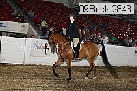 09buck-2843 proof