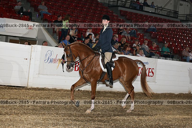 Proof 09buck-2845