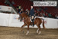 09buck-2845 proof