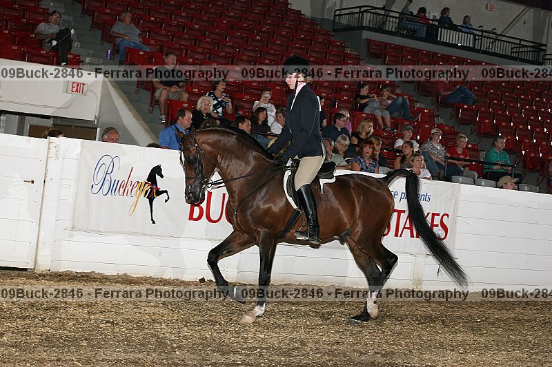 Proof 09buck-2846