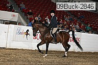 09buck-2846 proof