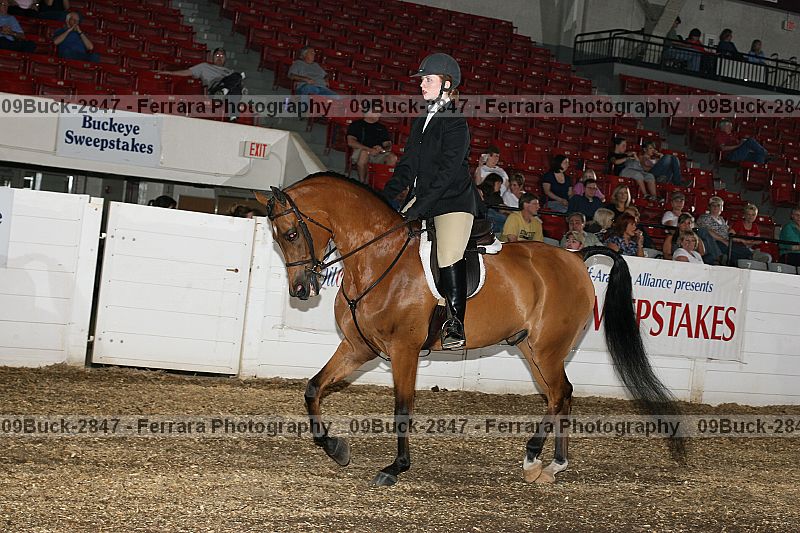 Proof 09buck-2847