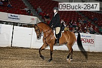 09buck-2847 proof