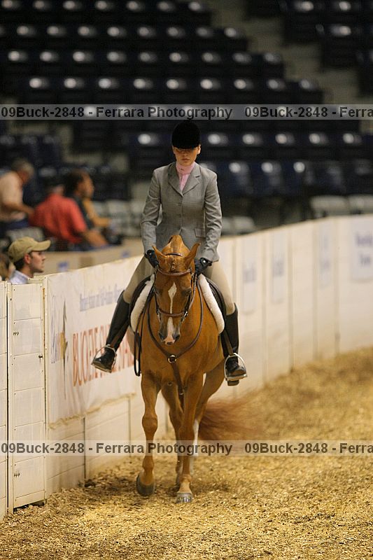 Proof 09buck-2848
