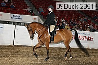 09buck-2851 proof