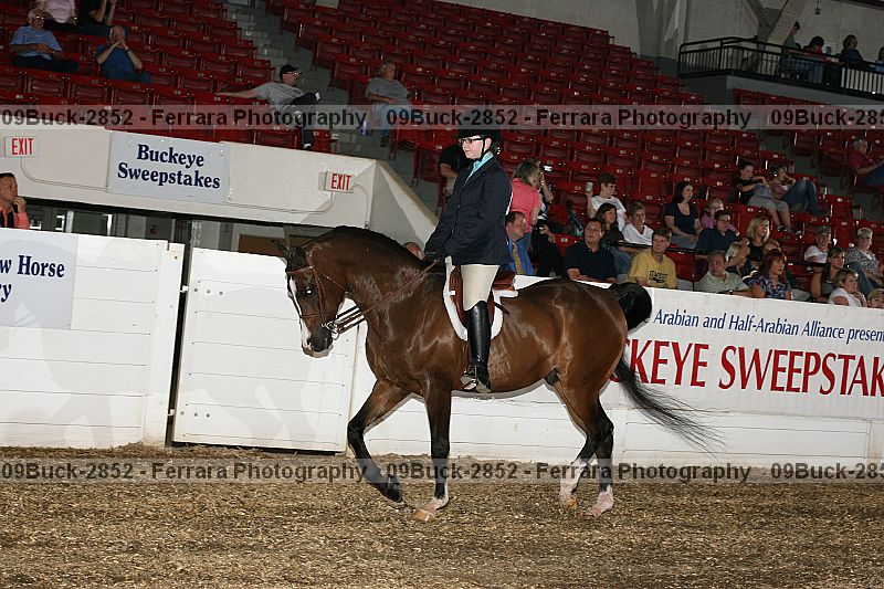 Proof 09buck-2852