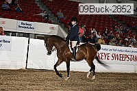 09buck-2852 proof