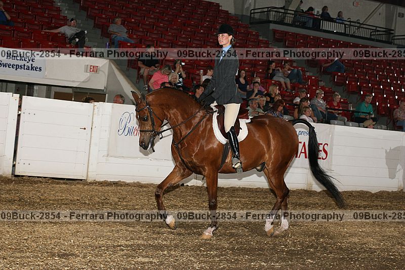 Proof 09buck-2854