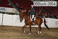 09buck-2854 proof