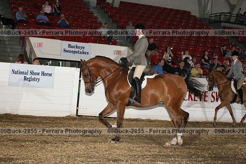 Proof 09buck-2855