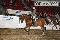 09buck-2855 proof