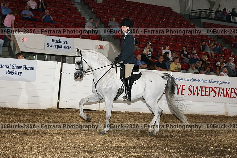 Proof 09buck-2856