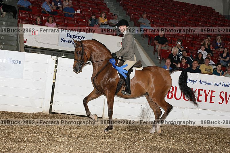 Proof 09buck-2862