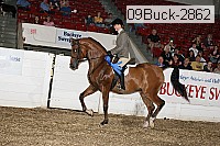 09buck-2862 proof