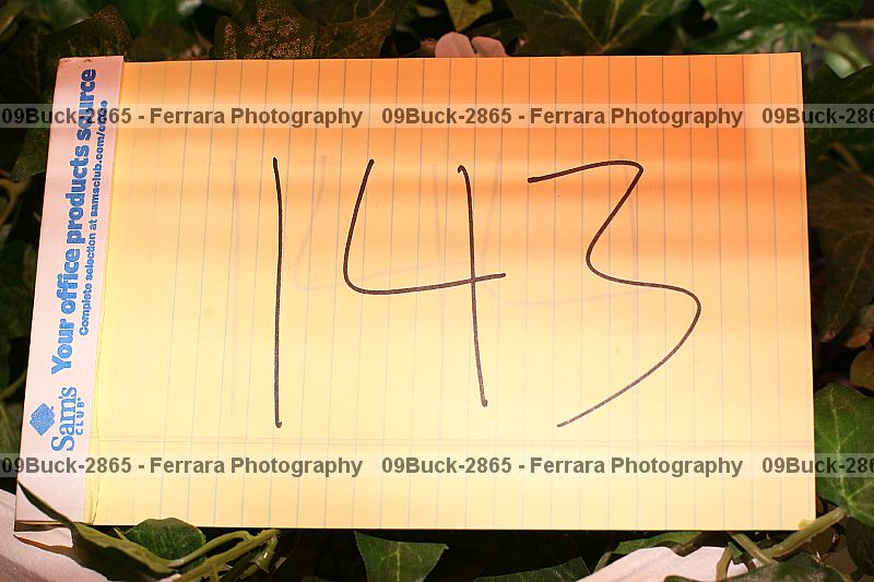 Proof 09buck-2865