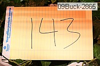 09buck-2865 proof