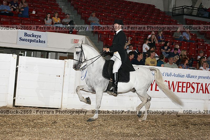 Proof 09buck-2869