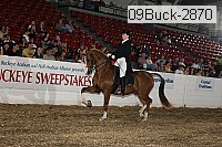 09buck-2870 proof