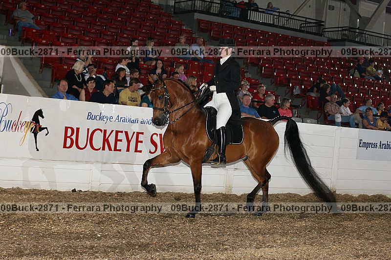 Proof 09buck-2871