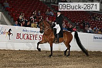 09buck-2871 proof