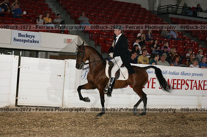 Proof 09buck-2872