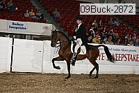 09buck-2872 proof