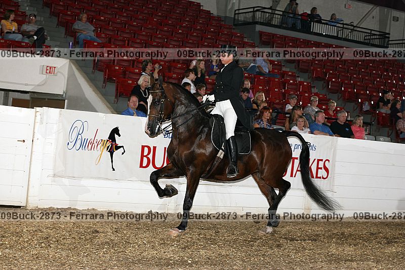 Proof 09buck-2873