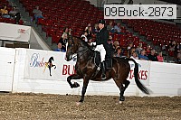 09buck-2873 proof
