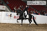 09buck-2876 proof