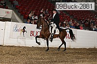 09buck-2881 proof