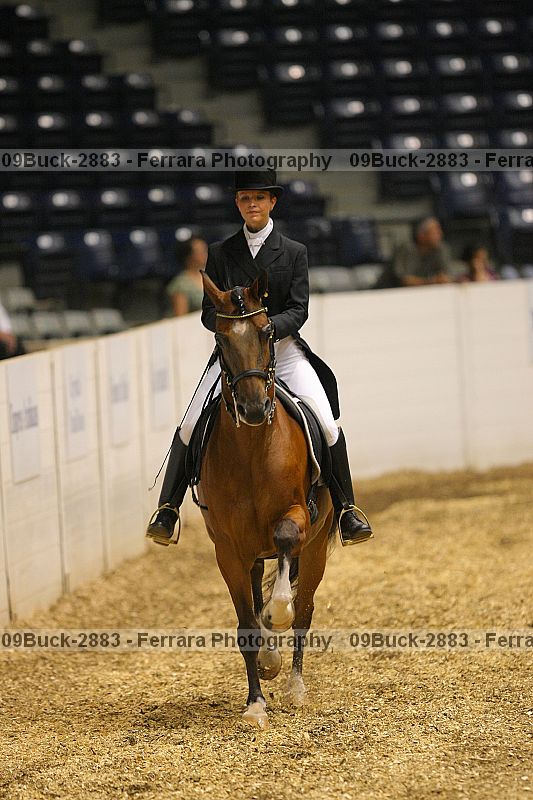 Proof 09buck-2883