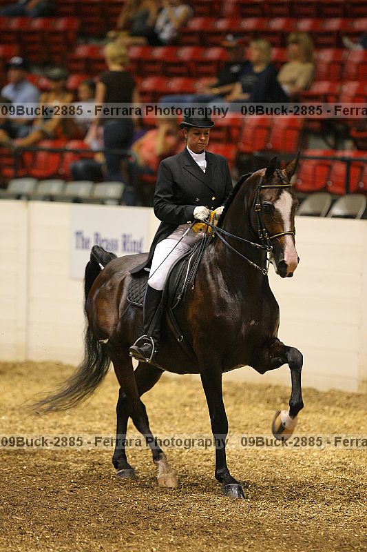 Proof 09buck-2885