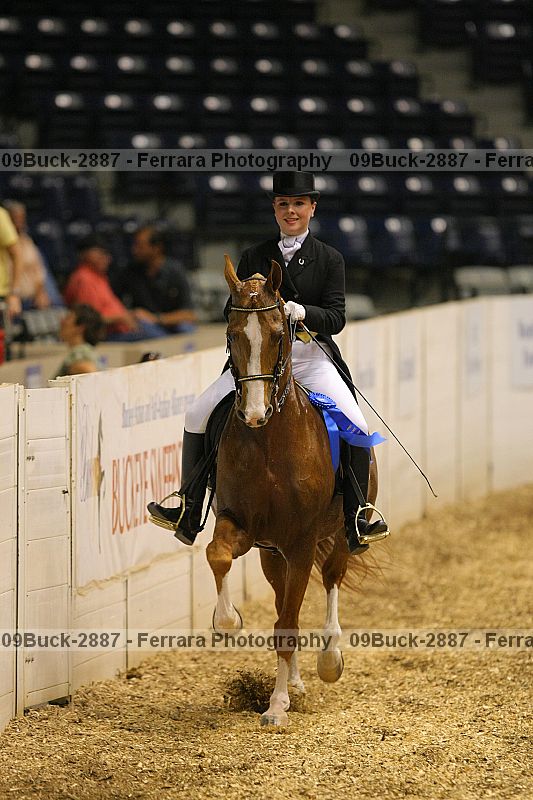 Proof 09buck-2887