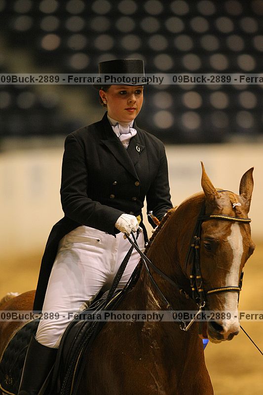 Proof 09buck-2889