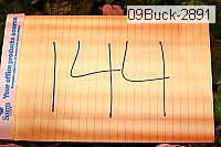 09buck-2891 proof