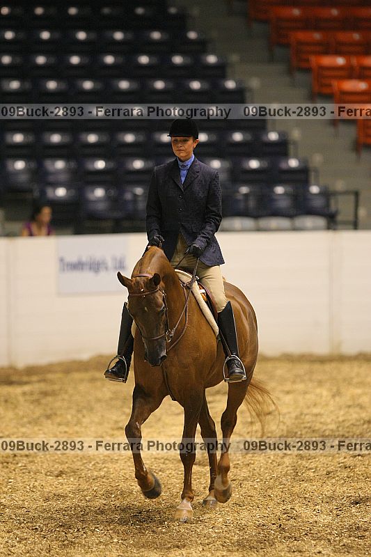Proof 09buck-2893