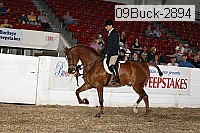 09buck-2894 proof