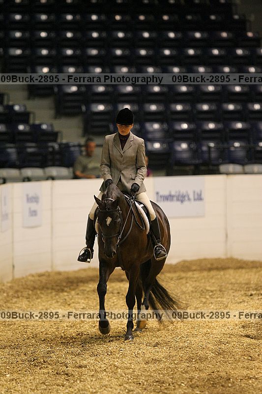 Proof 09buck-2895