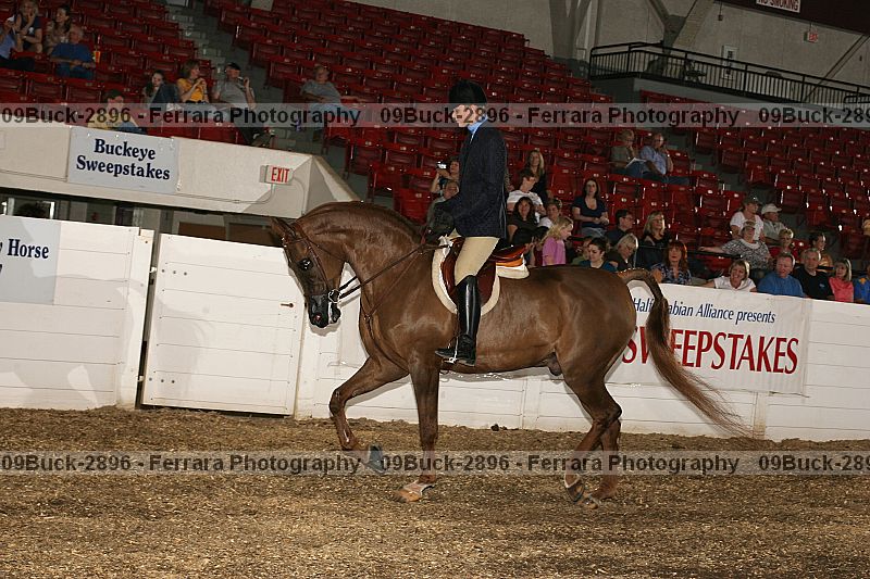 Proof 09buck-2896