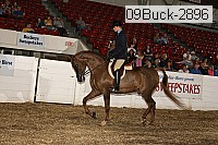 09buck-2896 proof