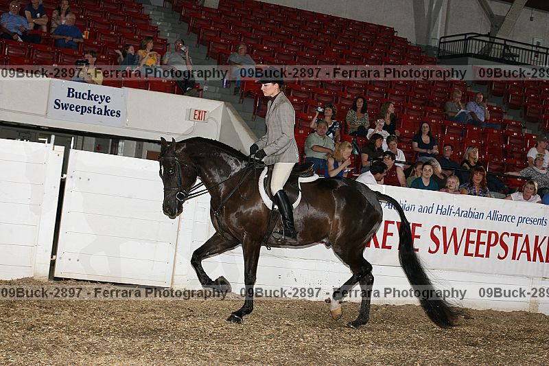 Proof 09buck-2897