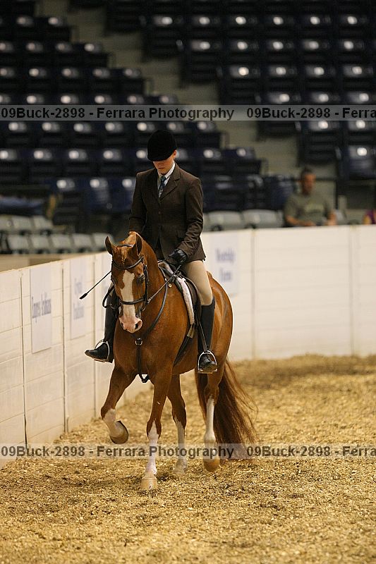 Proof 09buck-2898