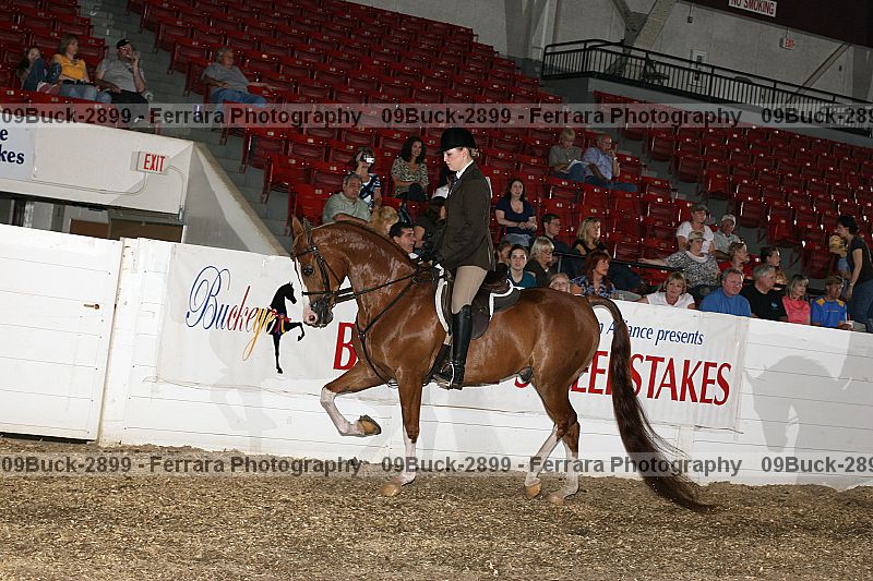 Proof 09buck-2899