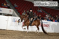 09buck-2899 proof